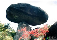 玉蒼山-蘑菇石