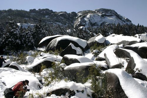 玉苍雪景